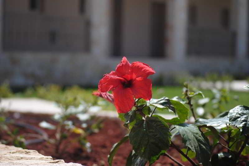 Magnolia (adults Only) Hotel Katelios